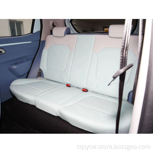 Dongfeng Nami Box New New Energy автомобиль 4 -колесный электромобиль для взрослых автомобиль EV автомобиль